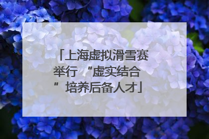 上海虚拟滑雪赛举行 “虚实结合”培养后备人才