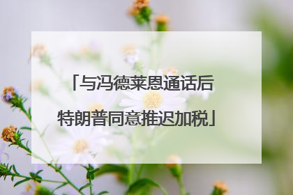 与冯德莱恩通话后 特朗普同意推迟加税