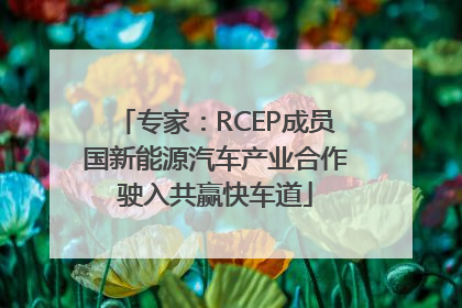 专家：RCEP成员国新能源汽车产业合作驶入共赢快车道