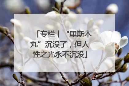 专栏丨“里斯本丸”沉没了，但人性之光永不沉没