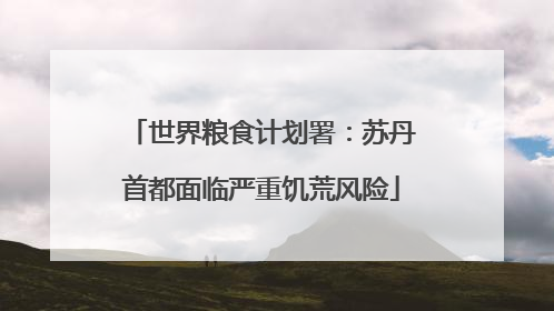 世界粮食计划署：苏丹首都面临严重饥荒风险