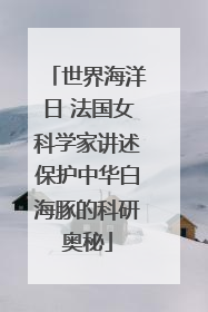 世界海洋日 法国女科学家讲述保护中华白海豚的科研奥秘