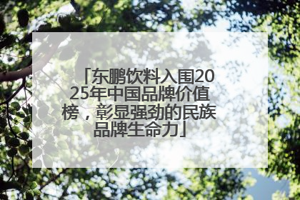 东鹏饮料入围2025年中国品牌价值榜，彰显强劲的民族品牌生命力
