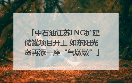 中石油江苏LNG扩建储罐项目开工 如东阳光岛再添一座“气墩墩”