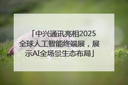 中兴通讯亮相2025全球人工智能终端展，展示AI全场景生态布局