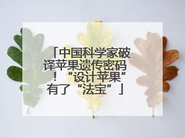 中国科学家破译苹果遗传密码！“设计苹果”有了“法宝”