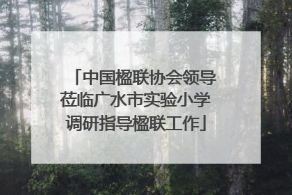 中国楹联协会领导莅临广水市实验小学调研指导楹联工作