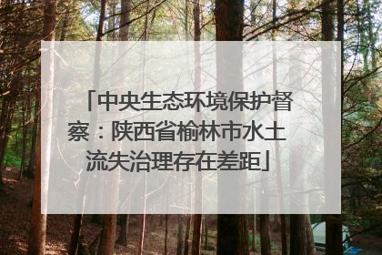 中央生态环境保护督察：陕西省榆林市水土流失治理存在差距
