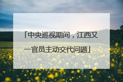 中央巡视期间，江西又一官员主动交代问题