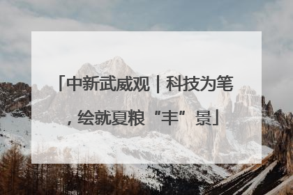 中新武威观｜科技为笔，绘就夏粮“丰”景