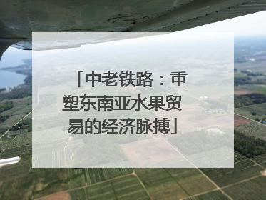 中老铁路：重塑东南亚水果贸易的经济脉搏