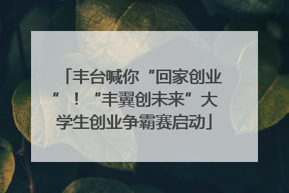 丰台喊你“回家创业”！“丰翼创未来”大学生创业争霸赛启动