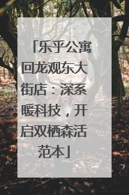 乐乎公寓回龙观东大街店：深系暖科技，开启双栖森活范本