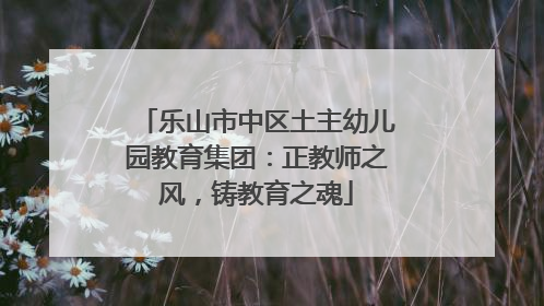乐山市中区土主幼儿园教育集团：正教师之风，铸教育之魂