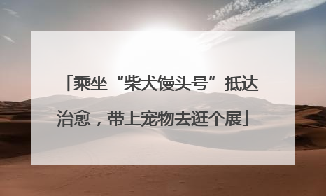 乘坐“柴犬馒头号”抵达治愈，带上宠物去逛个展