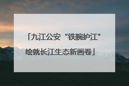 九江公安“铁腕护江”绘就长江生态新画卷