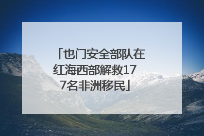 也门安全部队在红海西部解救177名非洲移民