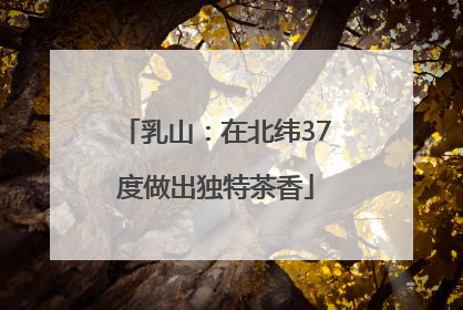 乳山：在北纬37度做出独特茶香