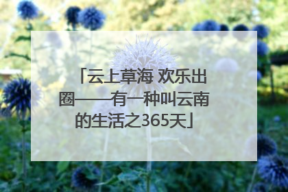 云上草海 欢乐出圈——有一种叫云南的生活之365天