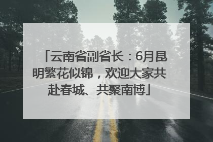 云南省副省长：6月昆明繁花似锦，欢迎大家共赴春城、共聚南博