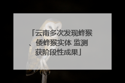 云南多次发现蜂猴、倭蜂猴实体 监测获阶段性成果