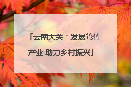 云南大关：发展筇竹产业 助力乡村振兴