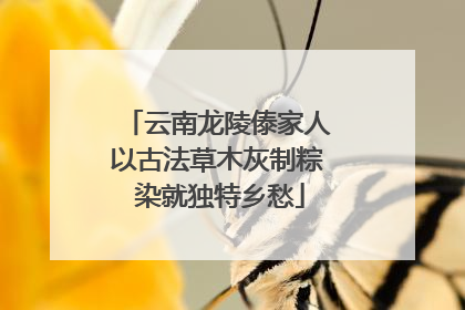 云南龙陵傣家人以古法草木灰制粽 染就独特乡愁