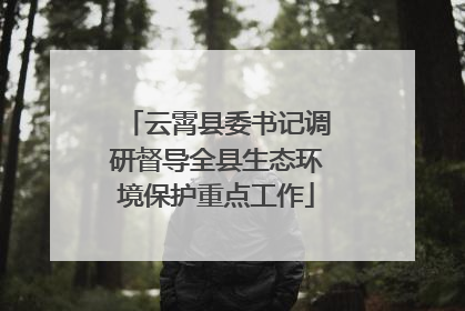 云霄县委书记调研督导全县生态环境保护重点工作