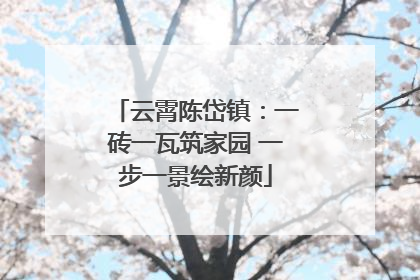 云霄陈岱镇：一砖一瓦筑家园 一步一景绘新颜