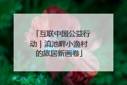 互联中国公益行动｜滇池畔小渔村的旅居新画卷
