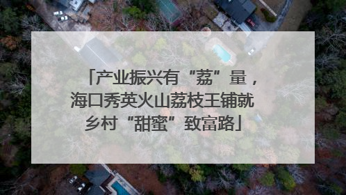 产业振兴有“荔”量，海口秀英火山荔枝王铺就乡村“甜蜜”致富路