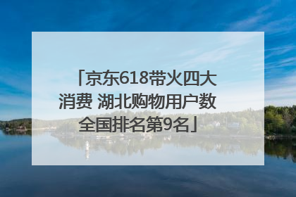 京东618带火四大消费 湖北购物用户数全国排名第9名