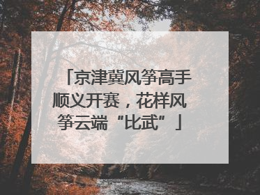 京津冀风筝高手顺义开赛，花样风筝云端“比武”