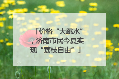 价格“大跳水”，济南市民今夏实现“荔枝自由”