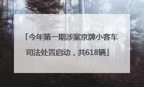 今年第一期涉案京牌小客车司法处置启动，共618辆