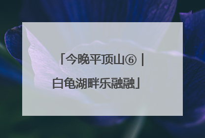 今晚平顶山⑥｜白龟湖畔乐融融