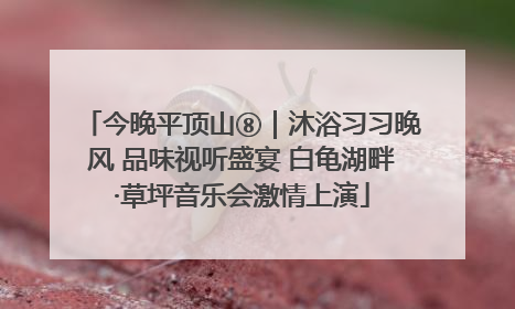 今晚平顶山⑧｜沐浴习习晚风 品味视听盛宴 白龟湖畔·草坪音乐会激情上演