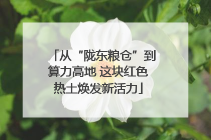 从“陇东粮仓”到算力高地 这块红色热土焕发新活力