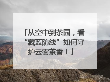 从空中到茶园，看“藏蓝防线”如何守护云雾茶香！