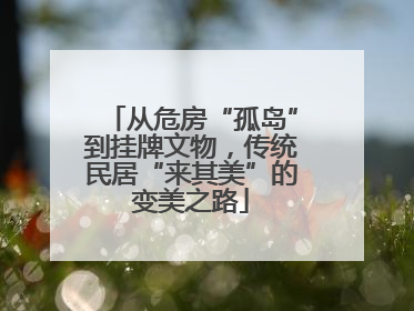 从危房“孤岛”到挂牌文物，传统民居“来其美”的变美之路
