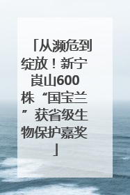 从濒危到绽放！新宁崀山600株“国宝兰”获省级生物保护嘉奖