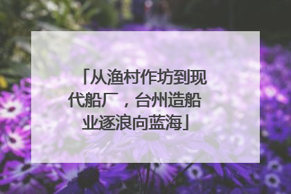 从渔村作坊到现代船厂，台州造船业逐浪向蓝海