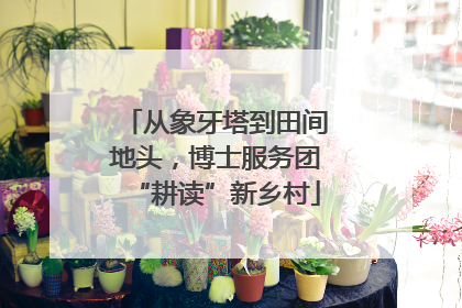 从象牙塔到田间地头，博士服务团“耕读”新乡村