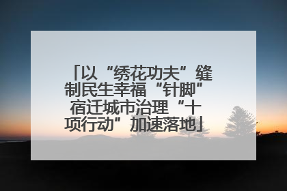 以“绣花功夫”缝制民生幸福“针脚” 宿迁城市治理“十项行动”加速落地