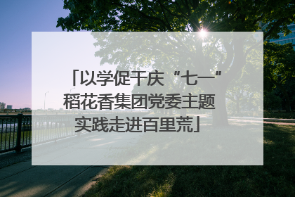 以学促干庆“七一” 稻花香集团党委主题实践走进百里荒