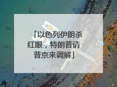 以色列伊朗杀红眼，特朗普请普京来调解