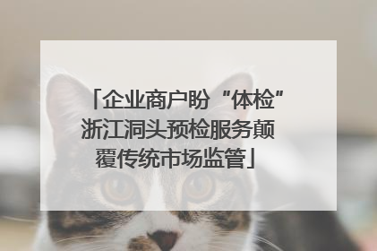 企业商户盼“体检” 浙江洞头预检服务颠覆传统市场监管
