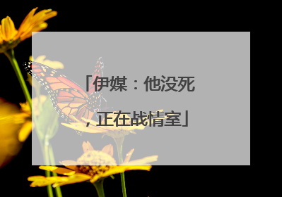 伊媒：他没死，正在战情室