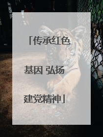 传承红色基因 弘扬建党精神