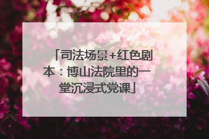 司法场景+红色剧本：博山法院里的一堂沉浸式党课